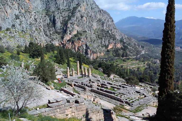 Från Aten: Delphi privat tur med lunch