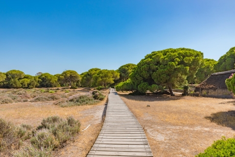 Aus Sevilla: Naturpark Doñana, El Rocio und MatalascañasNaturpark Doñana, Strand El Rocio und Matalascañas