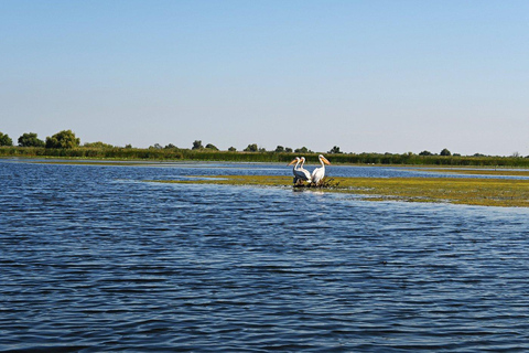 Bucarest: tour del delta del Danubio di 2 giorni con tour in barcaBucarest: tour al delta del Danubio di 2 giorni con tour in barca