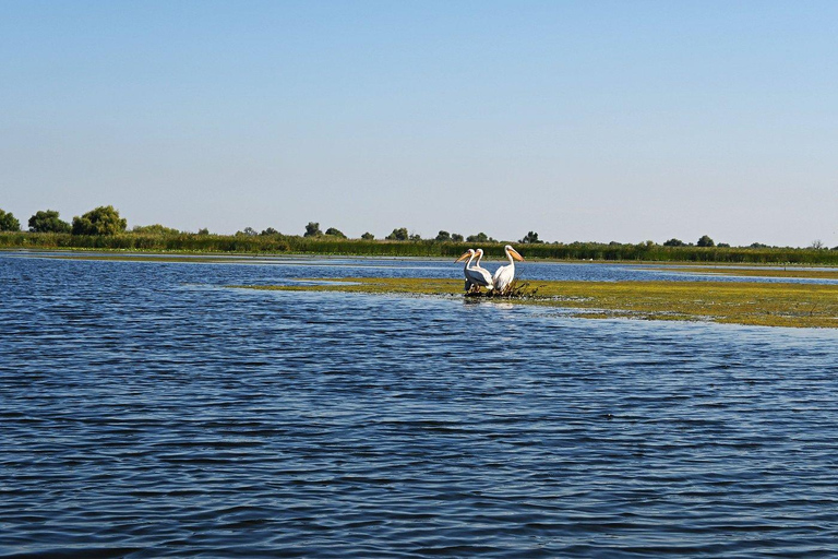 Bucarest: tour del delta del Danubio di 2 giorni con tour in barcaBucarest: tour al delta del Danubio di 2 giorni con tour in barca