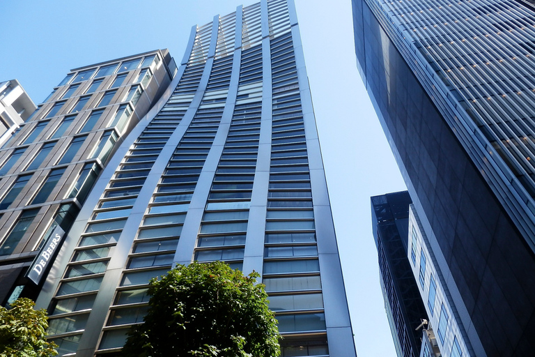 Tokyo's chique district: verken Ginza met een lokale gidsVerken Ginza Met Een Lokaal: 4-Uurs Tour