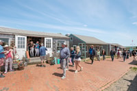 Boston, Descubre Martha's Vineyard con Opcional Island Tour - Housity