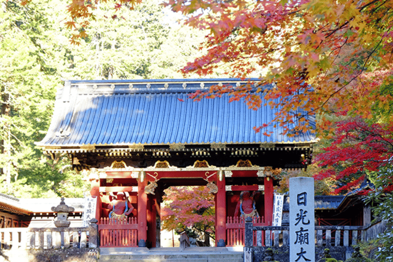 From Tokyo: Nikko World Heritage Private Tour with Guide Nikko World Heritage Full Day share Van tour