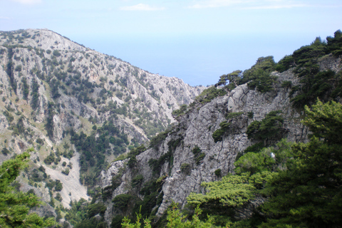 Från Rethymno: Imbros Gorge &amp; guidad tur till Libyska havetFrån Panormos, Lavris, Scaleta, Sfakaki och Stavromenos