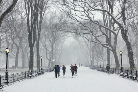 Central Park: Löptur med höjdpunkterCentral Park: 5 km rolig löptur