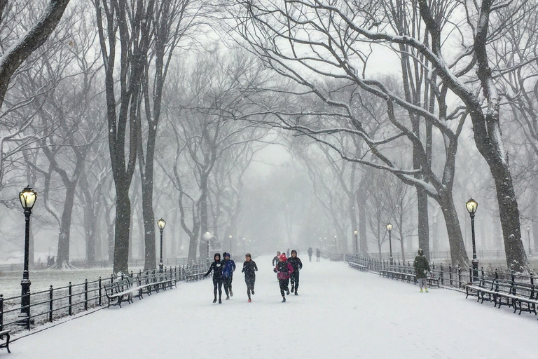 Central Park: recorrido divertido de carrera de 5 km