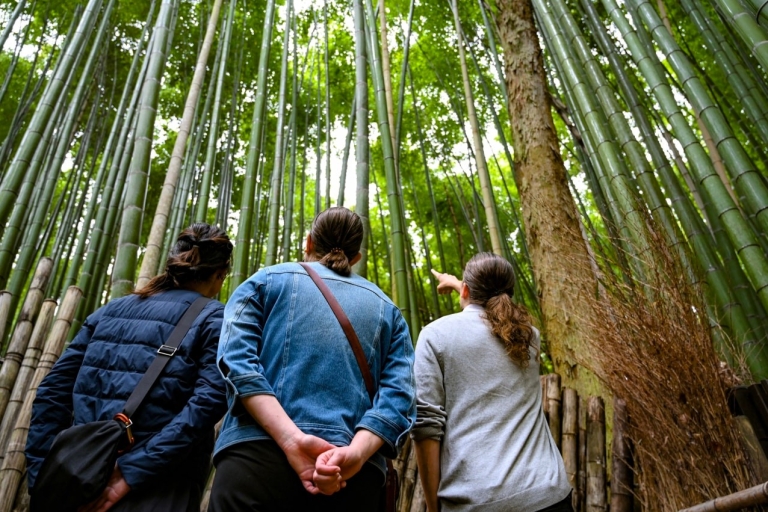 Arashiyama: Bosque de bambú y tour del temploTour estándar