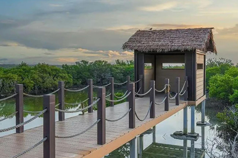 Nordkatar: Kultur- und Kulturerbe-Halbtagestour mit Transfer