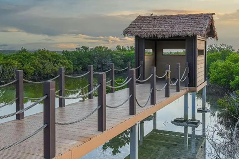 Nordkatar: Kultur- und Kulturerbe-Halbtagestour mit Transfer