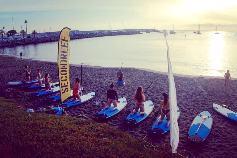 Gran Canaria : Stand Up Paddle (SUP) course, Arguineguín. 2 hours. Gran Canaria : Paddle Surf Course, Arguineguín. 2 hours.