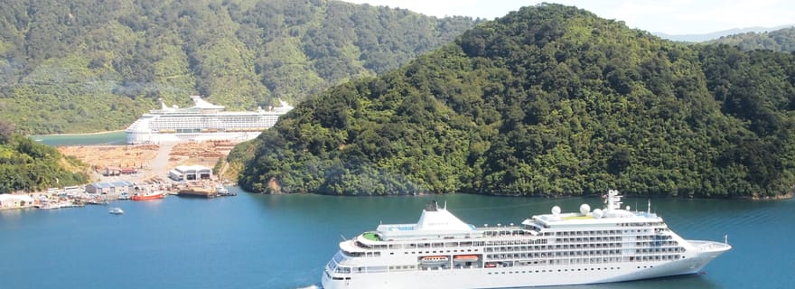 Excursion privée à terre au départ de Picton : points forts de Marlborough