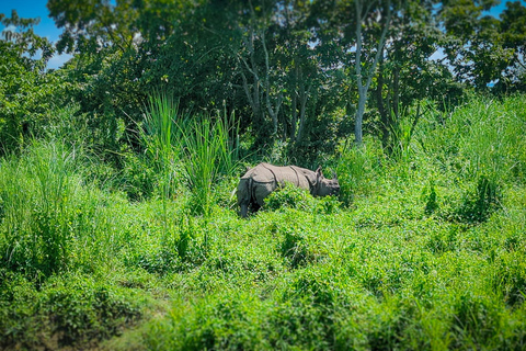 Chitwan: Jungle Safari with Wildlife & Cultural tour 3-Days