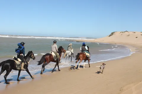 From Essaouira: 1-Hour Horse Ride