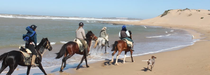 From Essaouira: 1-Hour Horse Ride