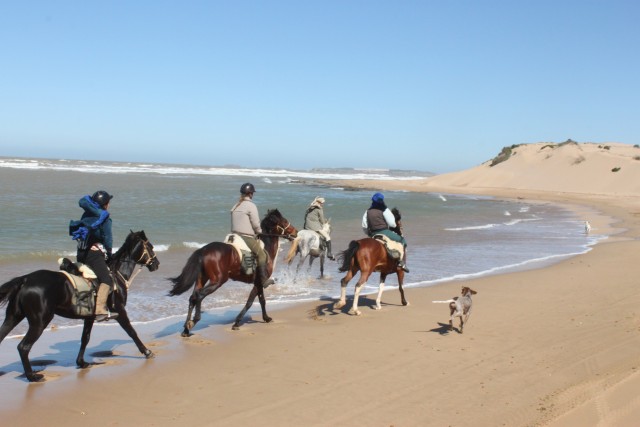 Visit From Essaouira 1-Hour Horse Ride in Essaouira