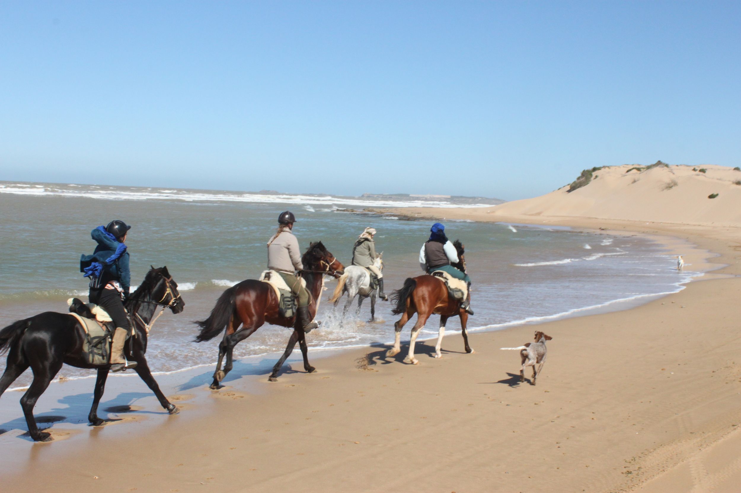 Von Essaouira aus: 1-stündiger Reitausflug