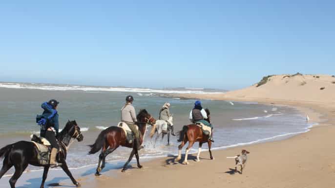 from essaouira 1hour horse ride