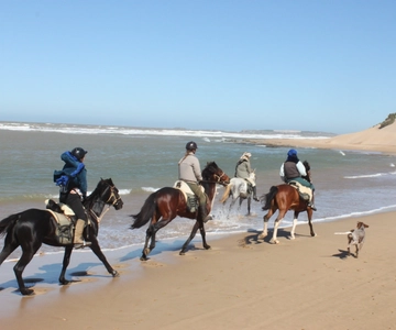From Essaouira: 1-Hour Horse Ride