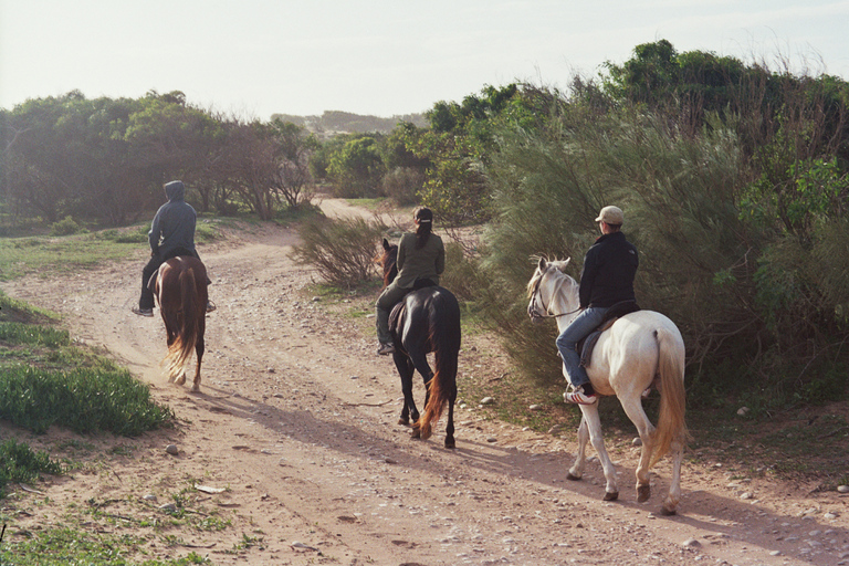 De Essaouira: Passeio a cavalo de uma horaDe Essaouira: passeio a cavalo de 1 hora