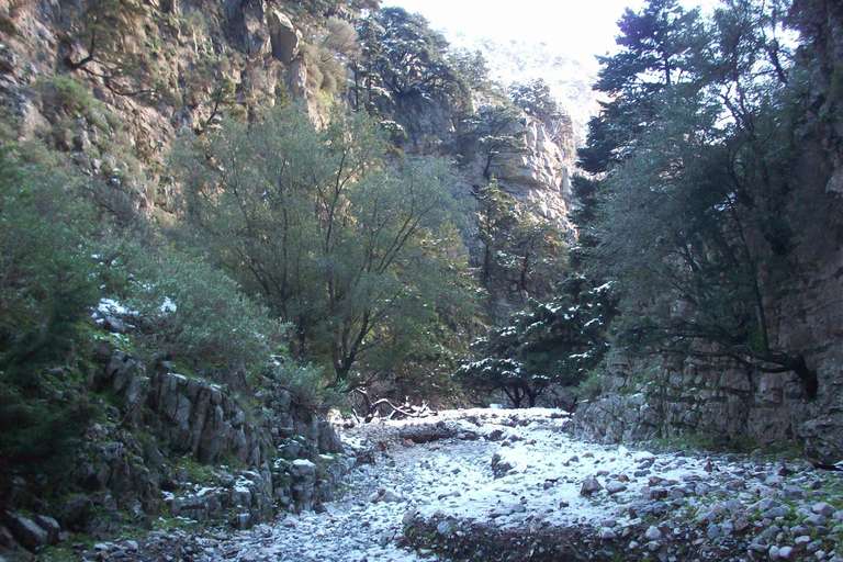 Depuis Réthymnon : gorges d’Imbros et journée à la plagePrise en charge à Réthymnon