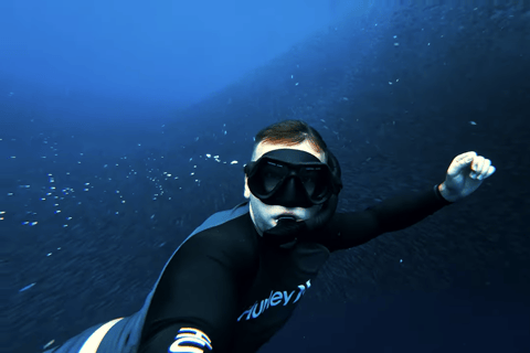 Cebú:Excursión en grupo con tiburón ballena, cascada y carrera de sardinas+Comida