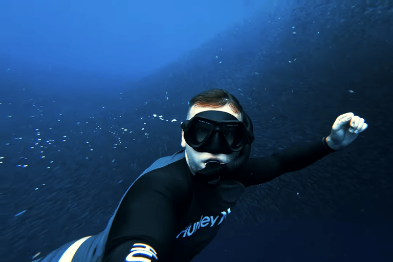 Cebú:Excursión en grupo con tiburón ballena, cascada y carrera de sardinas+Comida