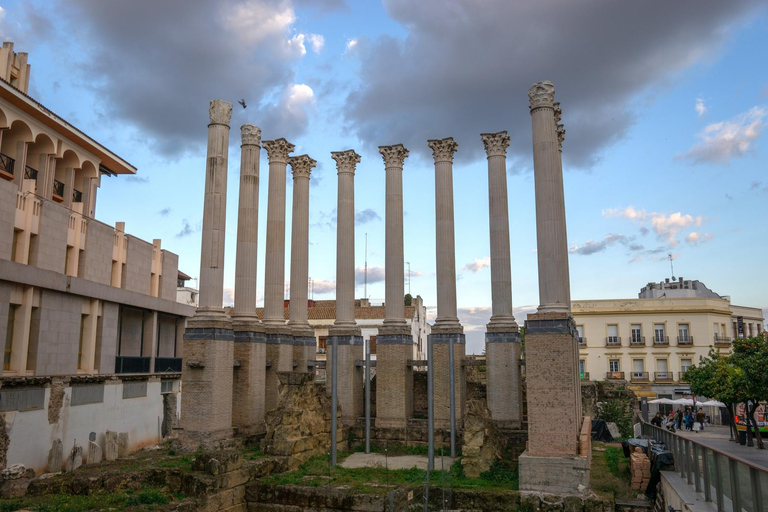 Seville: Cordoba Private & Fully Customizable Day Tour