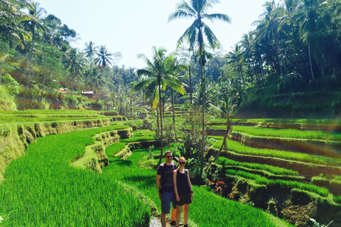 Bali: Leke-Leke Waterfall, Monkey Forest & Jungle Swing Tour Private Tour without Entrance Fees