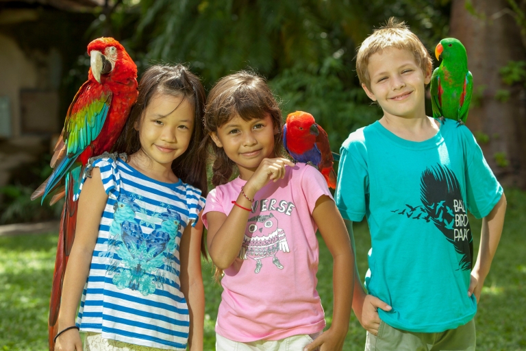 Bali Bird Park: 1-Tages-Eintrittskarte1-Tages-Ticket für internationale Besucher