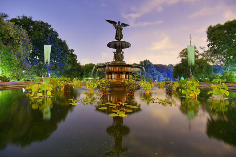 NYC: Central Park Pedicab Highlights Tour1-Hour Tour