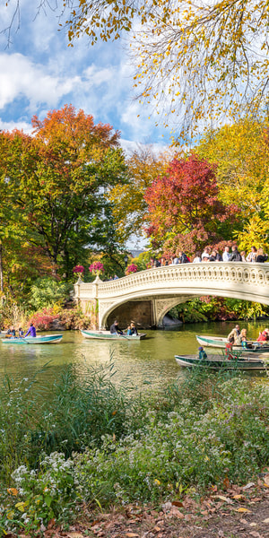 NYC: Central Park Pedicab Highlights Tour | GetYourGuide