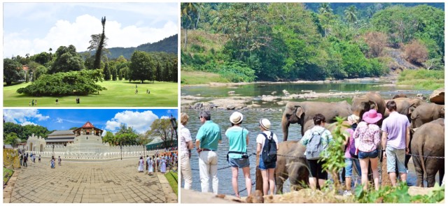 Visit Sri Lanka hill country train trip, Kandy, Nuwara Eliya 2-day in Ella