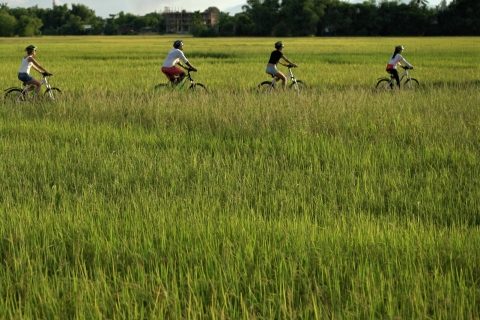 Hoi An: Ochtend fietstocht op het plattelandHoi An: fietstocht platteland in de ochtend