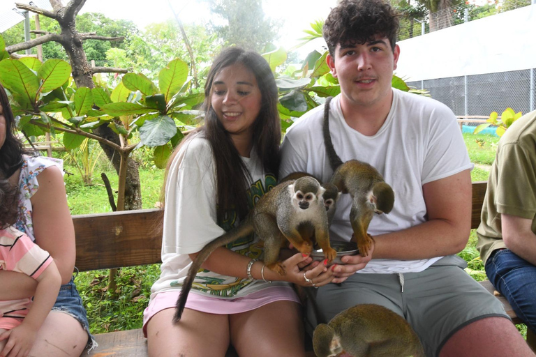 Puerto Plata: Monkey home, Damajagua Waterfalls & City Tour