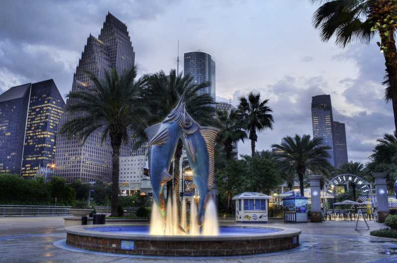 Houston Like a Local: Customized Private Tour