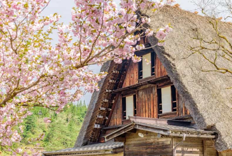 Vanuit Nagoya: Takayama en Shirakawa-go (lunchoptie beschikbaar)