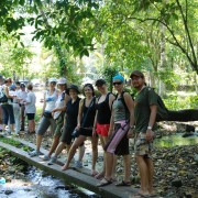 Agua Azul i Palenque Ruins: całodniowa wycieczka z San Cristobal