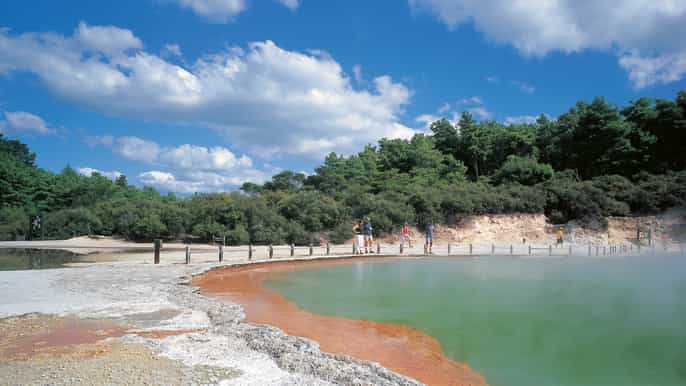 auckland to rotorua private tour