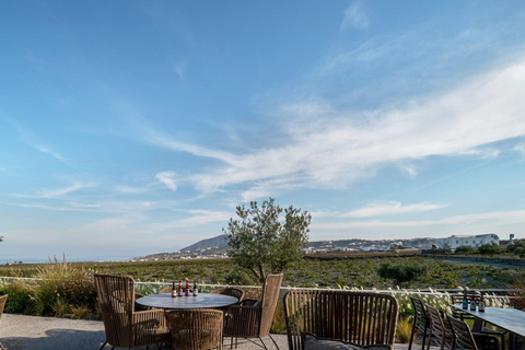 Santorini: wycieczka po browarze z degustacją piwa i opcjonalnym posiłkiemZwiedzanie browaru z degustacją piwa