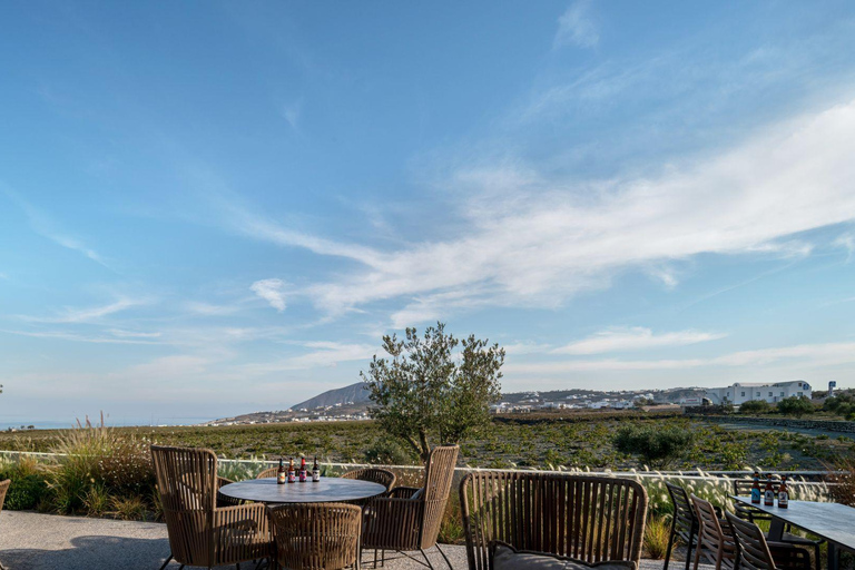 Santorini: wycieczka po browarze z degustacją piwa i opcjonalnym posiłkiemZwiedzanie browaru z degustacją piwa