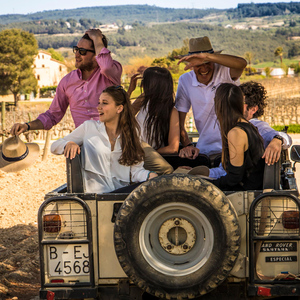 From Barcelona: Penedés Vineyards Tour by 4WD w/Wine & Cava