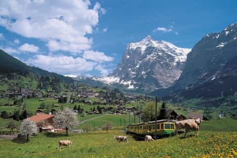 From Lucerne: Day Trip to Grindelwald and Interlaken