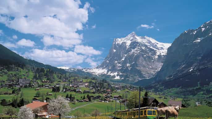 from lucerne day trip to grindelwald and interlaken