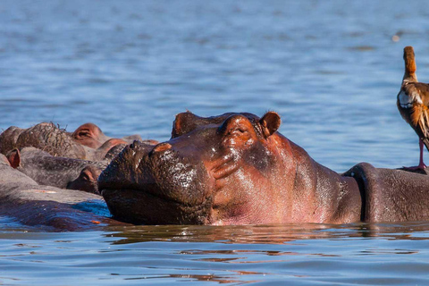 Nairobi Tagesausflug zum Crescent Island Game Park - Lake Naivasha