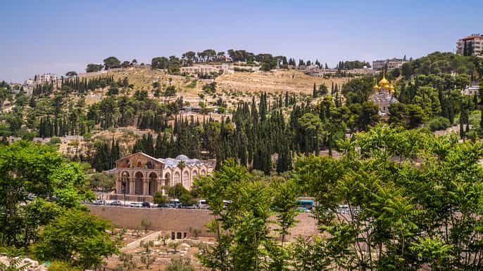 new jerusalem mount of olives tour