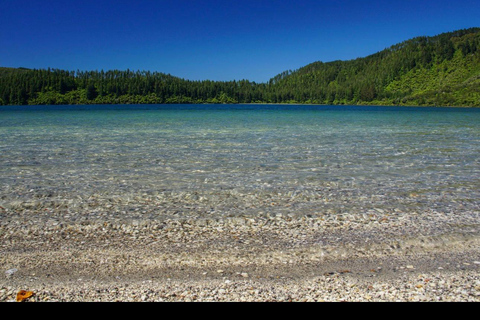 From Auckland: Rotorua Lakes, Redwood & Geothermal Day Trip