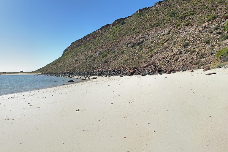 La Paz: Espiritu Santo Island Tour