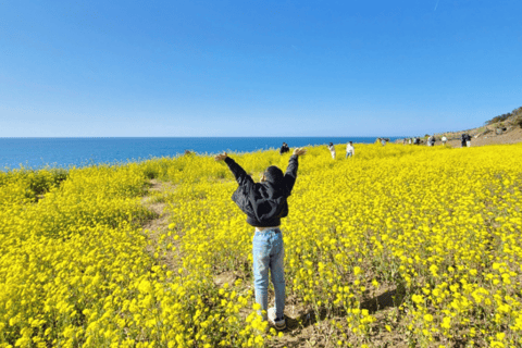 Jeju: UNESCO Sites Tour with Haenyeo Show(Eastern)