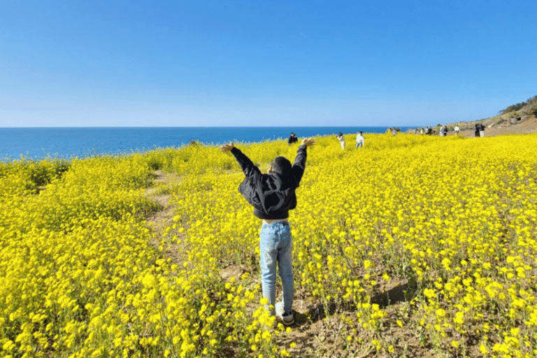 Jeju: UNESCO Sites Tour with Haenyeo Show(Eastern)