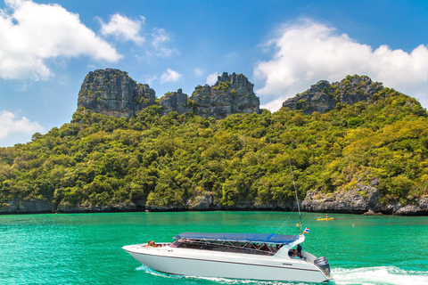 From Khao Lak: Phi Phi, Maya bay & Khai island Day Trip